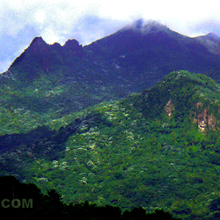 Peak of the el yunaue rainforest mountain